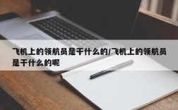 飞机上的领航员是干什么的/飞机上的领航员是干什么的呢