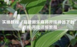 实操教程“福建微乐麻将开挂神器下载”(透视)开挂详细教程