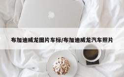 布加迪威龙图片车标/布加迪威龙汽车照片