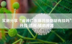 实测分享“雀神广东麻将推倒胡有挂吗”开挂(透视)辅助神器