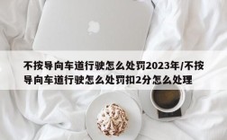 不按导向车道行驶怎么处罚2023年/不按导向车道行驶怎么处罚扣2分怎么处理
