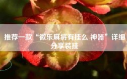 推荐一款“微乐麻将有挂么 神器”详细分享装挂