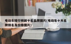 电动车排行榜前十名品牌图片(电动车十大名牌排名及价格图片)