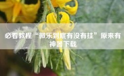 必看教程“微乐到底有没有挂”原来有神器下载