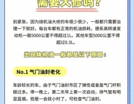 汽车烧机油怎么办 汽车烧机油怎么处理最好的方法