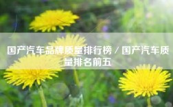 国产汽车品牌质量排行榜／国产汽车质量排名前五