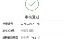 深圳个人摇车牌申请网站／深圳个人摇车牌申请网站是什么