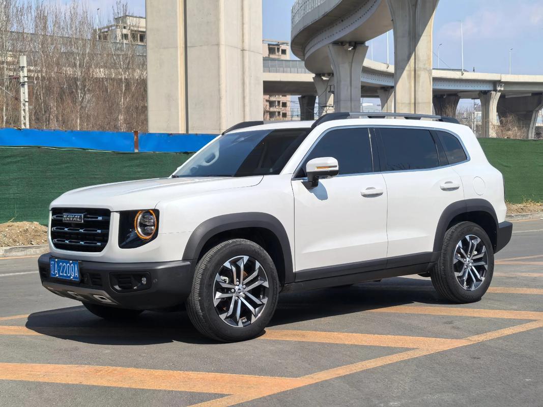 长城大狗车价格及图片(长城大狗最新报价)