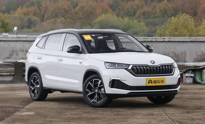 柯米克价格(柯米克价格及图片)