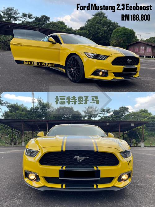 马的车标是什么车/马标志是什么车