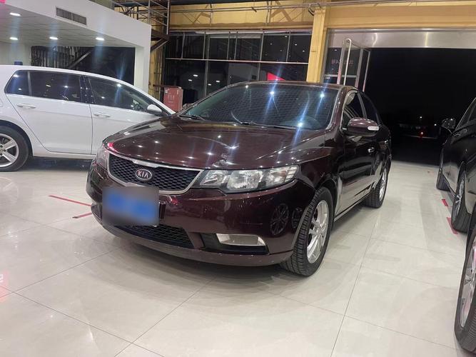 福瑞迪价格(福瑞迪2022)