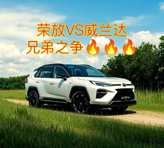 荣放和威兰达怎么选/荣放和威兰达怎么选比较好