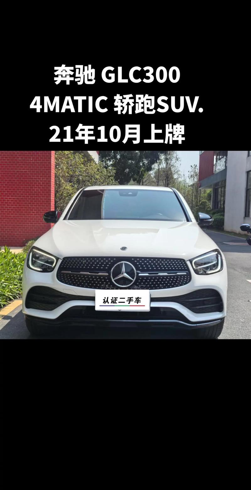 北京奔驰戴克300报价图片/北京奔驰戴克300报价图片大全