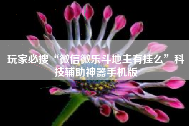 玩家必搜“微信微乐斗地主有挂么	”科技辅助神器手机版