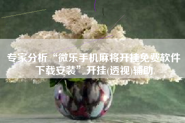 专家分析“微乐手机麻将开挂免费软件下载安装”开挂(透视)辅助