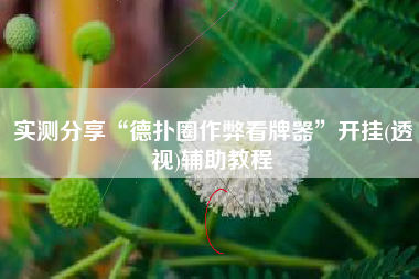实测分享“德扑圈作弊看牌器	”开挂(透视)辅助教程