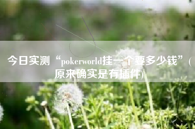 今日实测“pokerworld挂一个要多少钱”(原来确实是有插件)