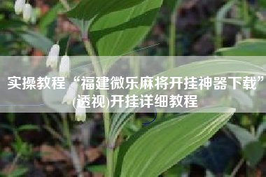 实操教程“福建微乐麻将开挂神器下载”(透视)开挂详细教程