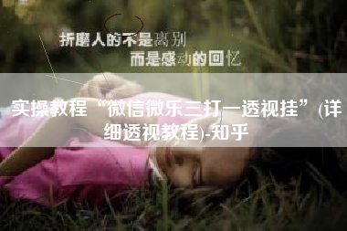 实操教程“微信微乐三打一透视挂	”(详细透视教程)-知乎