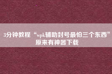 3分钟教程“wpk辅助封号最怕三个东西	”原来有神器下载