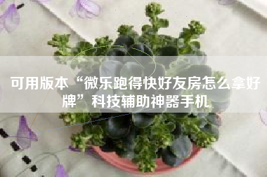 可用版本“微乐跑得快好友房怎么拿好牌”科技辅助神器手机