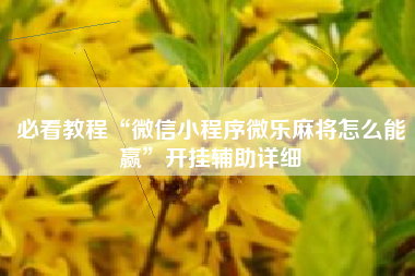 必看教程“微信小程序微乐麻将怎么能赢	”开挂辅助详细