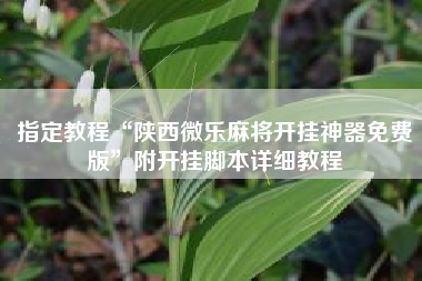 指定教程“陕西微乐麻将开挂神器免费版”附开挂脚本详细教程