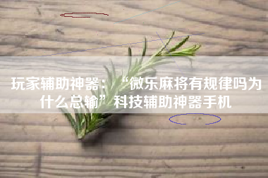 玩家辅助神器：“微乐麻将有规律吗为什么总输”科技辅助神器手机