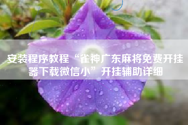 安装程序教程“雀神广东麻将免费开挂器下载微信小	”开挂辅助详细