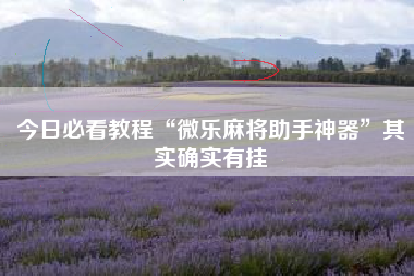 今日必看教程“微乐麻将助手神器”其实确实有挂