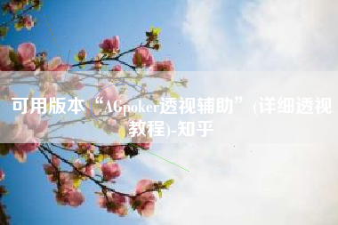 可用版本“AGpoker透视辅助”(详细透视教程)-知乎
