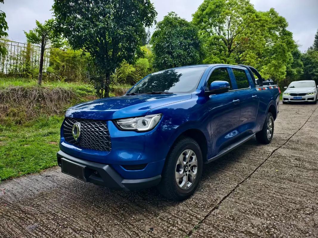 长城炮配置参数价格 2021款长城炮参数