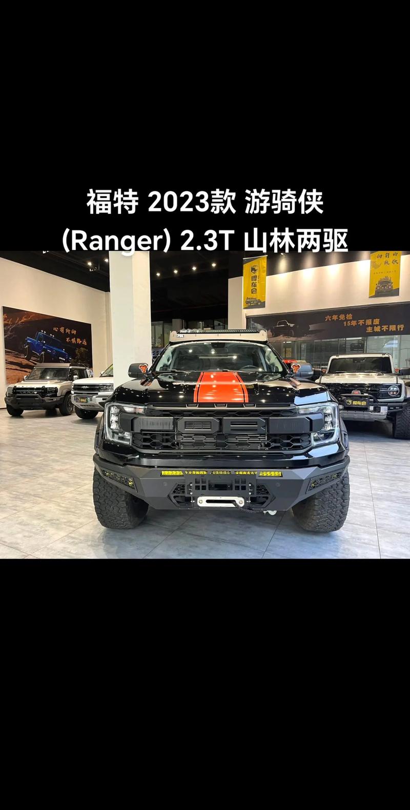 福特皮卡价格是多少(福特皮卡汽车新款)