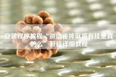 安装程序教程“微信雀神麻将有挂是真的么	”开挂详细教程