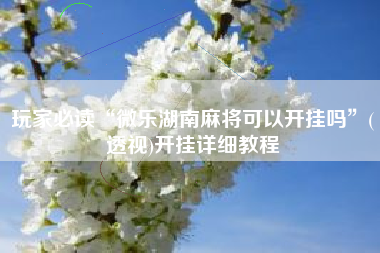 玩家必读“微乐湖南麻将可以开挂吗”(透视)开挂详细教程