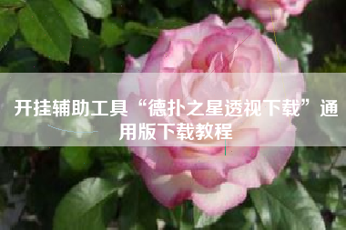 开挂辅助工具“德扑之星透视下载	”通用版下载教程