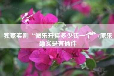 独家实测“微乐开挂多少钱一个”(原来确实是有插件