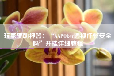 玩家辅助神器：“AAPOker透视作弊安全吗”开挂详细教程