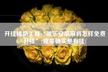 开挂辅助工具“微乐安徽麻将怎样免费开挂”(原来确实是有挂)