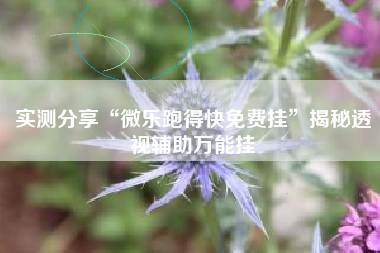 实测分享“微乐跑得快免费挂”揭秘透视辅助万能挂