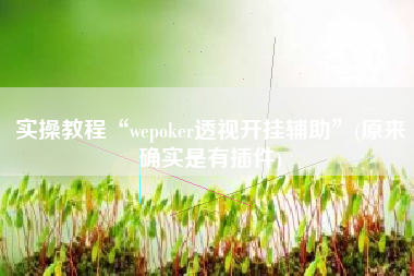 实操教程“wepoker透视开挂辅助”(原来确实是有插件)