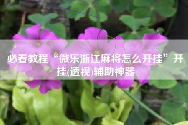 必看教程“微乐浙江麻将怎么开挂”开挂(透视)辅助神器