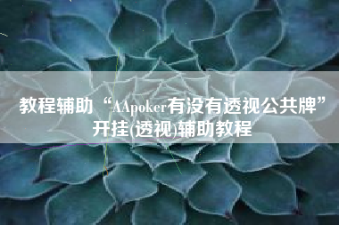 教程辅助“AApoker有没有透视公共牌	”开挂(透视)辅助教程