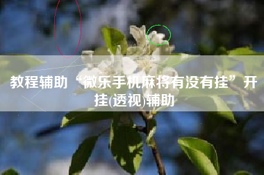 教程辅助“微乐手机麻将有没有挂”开挂(透视)辅助