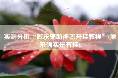 实测分析“微乐辅助神器开挂教程	”(原来确实是有挂)