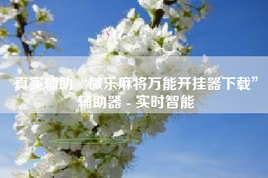 真实辅助“微乐麻将万能开挂器下载”辅助器 - 实时智能