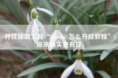 开挂辅助工具“hhpoker怎么开挂教程	”(原来确实是有挂)