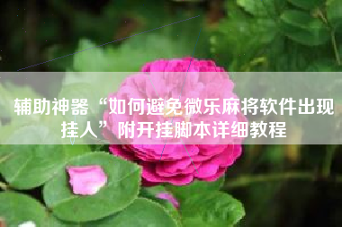 辅助神器“如何避免微乐麻将软件出现挂人”附开挂脚本详细教程