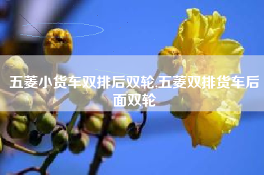 五菱小货车双排后双轮,五菱双排货车后面双轮 五菱小货车双排后双轮,五菱双排货车后面双轮