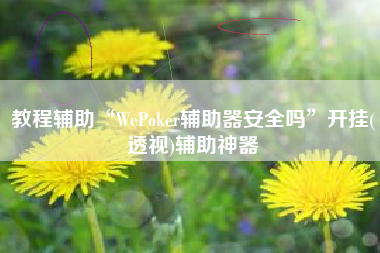 教程辅助“WePoker辅助器安全吗”开挂(透视)辅助神器